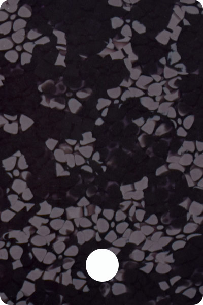 YLA6BA801